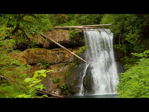 Photography as Meditation | National Geographic