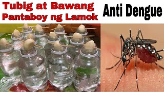 BAWANG AT TUBIG MABISANG PANTABOY NG LAMOK|ANTI DENGUE|BAWANG PARA SA ANTI DENGUE|BAWANG AT TUBIG