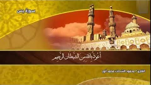 سورة يس كاملة لفضيلة الشيخ محمود الشحات محمد أنور Quran .