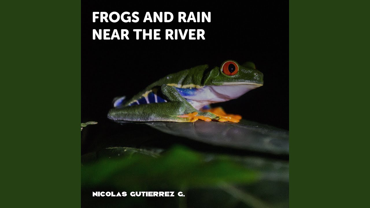 Frogs and Rain near the River