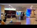 【水族館】丹後魚っ知館 の動画、YouTube動画。