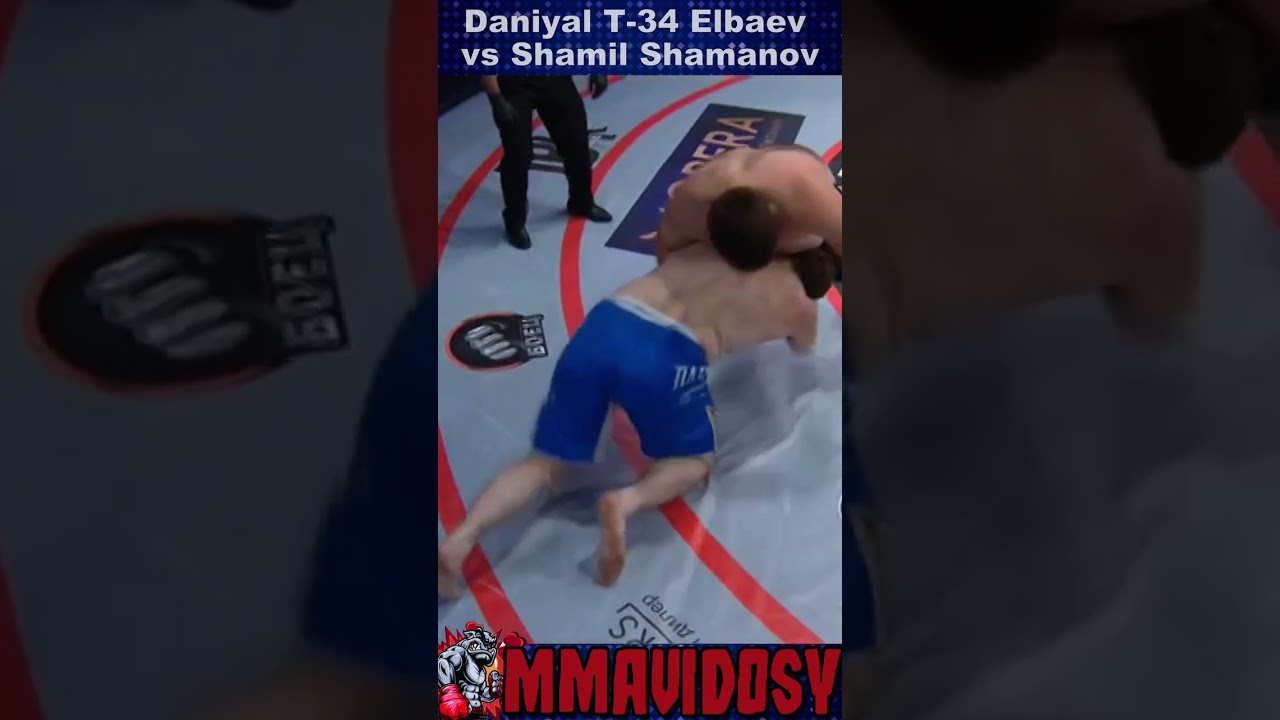 TKO GnP Punches ProFC 63 - Daniyal T-34 Elbaev vs Shamil Shamanov 