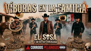 🐍FAMILIARES COBARDES🐍🔥 corridos peligrosos(el sosa y su e...