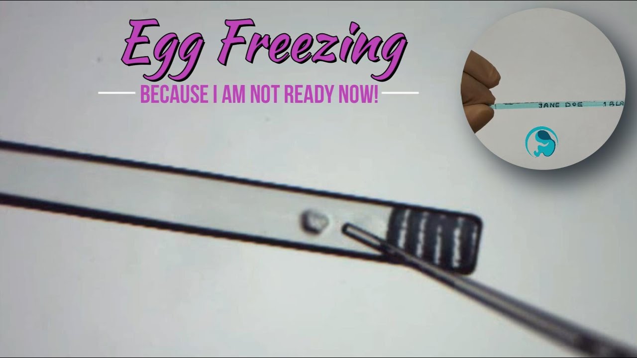 Egg freezing process in ivf lab how is egg frozen stored in ivf