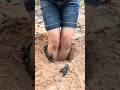 Survail Sillk SMART idiya and USEFUL with Single mom #bushcraft #campping #cat #outdoors