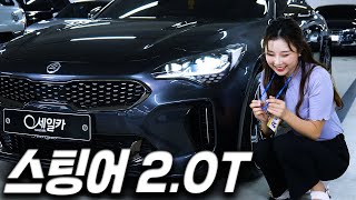 스팅어 2.0 터보 플래티넘! 믿을 수 있는 곳에서 구매 하세요!!| 4k