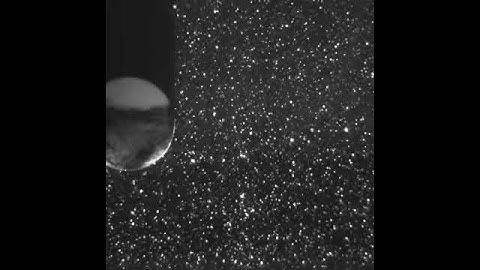 Flow field of a sphere at Reynolds = 350 - RAW PIV Data