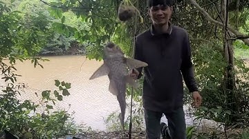 Cắm cần câu cá Suối | khám phá Khu Du lịch Bỏ Hoang Lâu Năm | Câu Cá Giải Trí