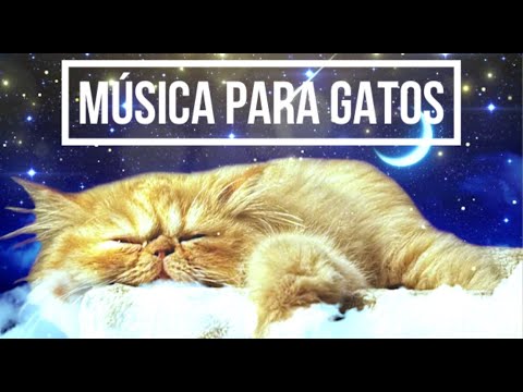 Música RELAJANTE para