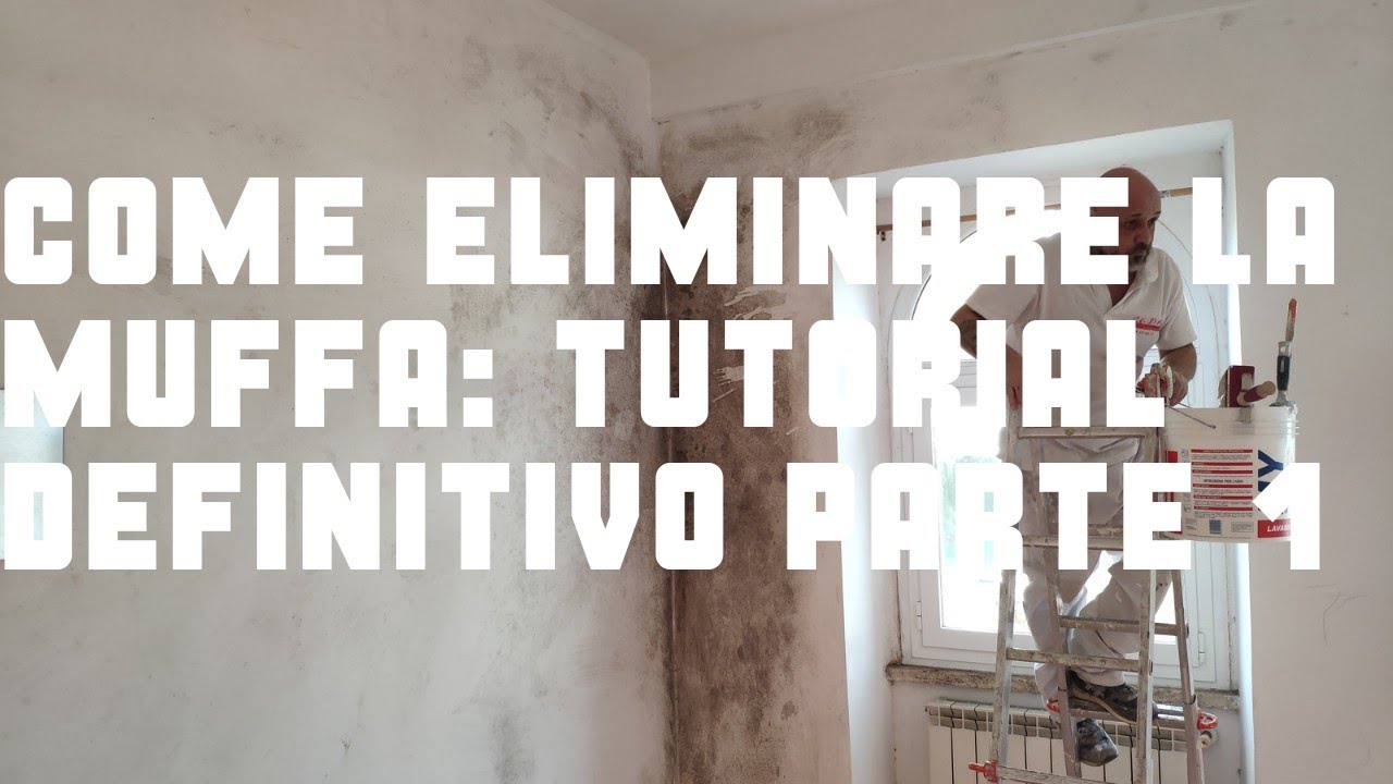 Come eliminare la muffa. Tutorial definitivo parte 1