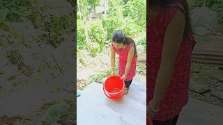 আমার ছাদবাগানেও এটা ফুটবে!😍#bengalivlog #plantlover #gardeningtips #ytshorts #viral #gardening
