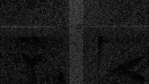 Skyzone Cobra S problem