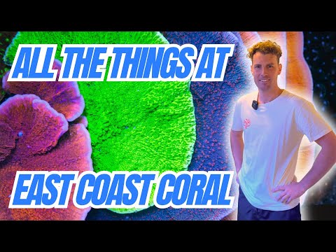 Coral Farming, Supplement Mixing and Party Hosting - Everything happening at East Coast Corals!