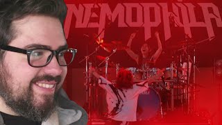  Teacher Reacts To Nemophila  Master Of Puppets  Metallica Cover