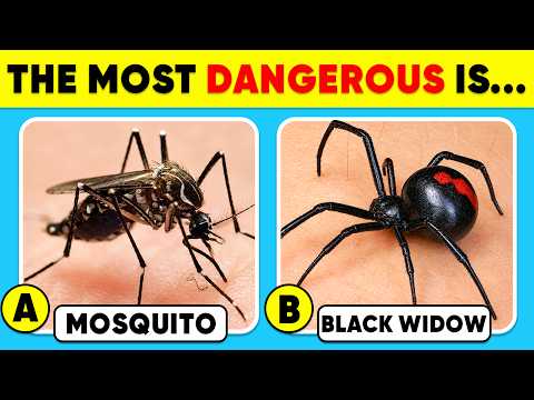 How Good Is Your Knowledge of ANIMALS? 🦟🕷️😵‍💫 General Knowledge Trivia Quiz