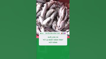 Khô loài cá "kỳ lạ nhất hành tinh" hút hàng giá cao #shorts