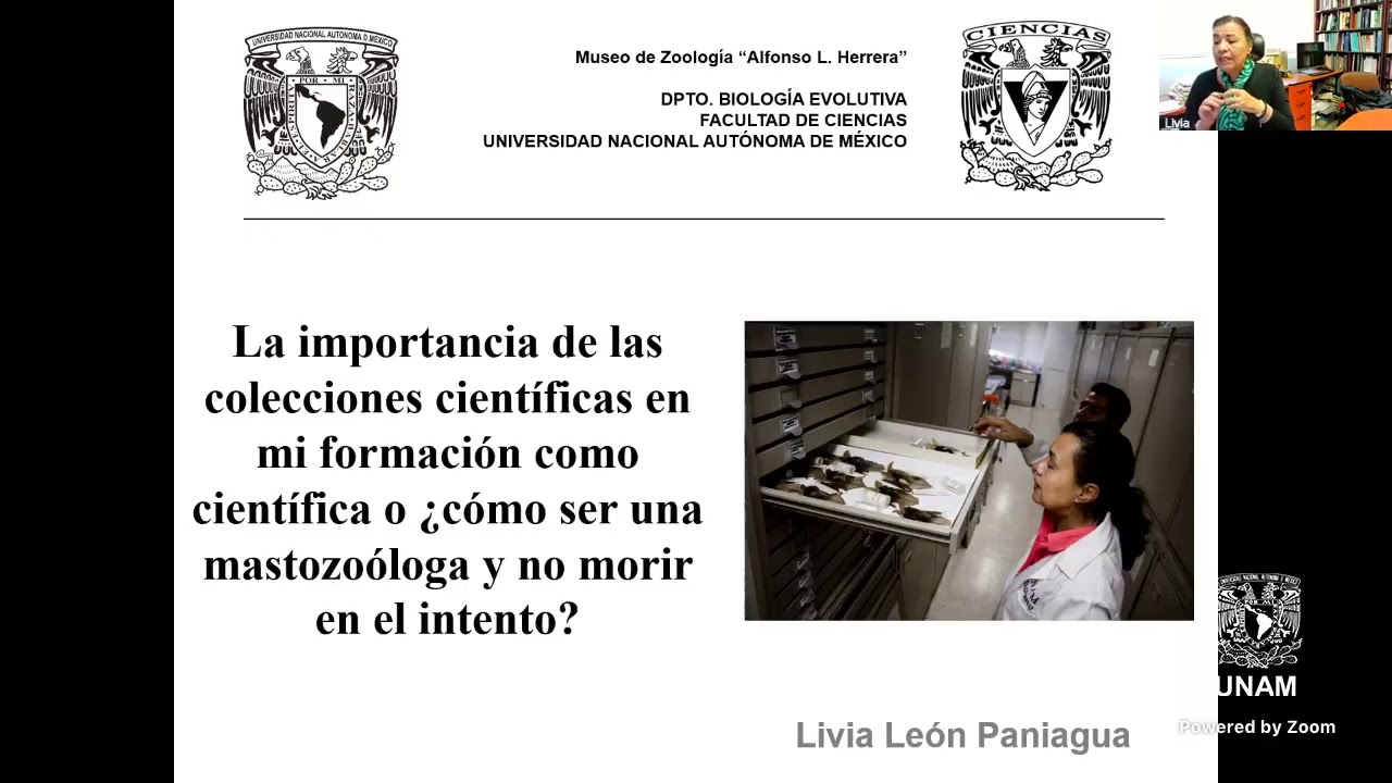 Si algo te apasiona, dedícate a ello