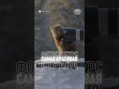 Любите фотографировать? Присылайте свои работы на фотоконкурс «Самая красивая страна». #рго