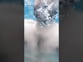 تامر امر كبرياء اسمرو