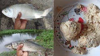 रोहू, कतला, ग्रास, मछली का चारा,सर्दी और गर्मी दोनो मौसम के लिए | Rohu, katla, grass fish bait