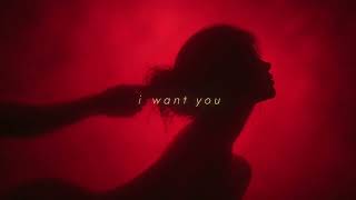 Bedroom R&B After Hours   Dark Romance Playlist Vol 7