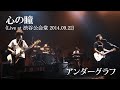 心の瞳(Live at 渋谷公会堂 2014.09.22)/アンダーグラフ