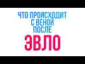 Что происходит с веной после лазерного удаления? ЭВЛО