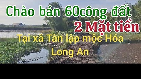(Tập 67)Cần bán 60công đất,xã Tân lập mộc Hóa Long An, Đất 2mặt tiền, Giá 850tr(1000m)lh☎️0335535649