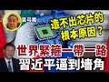 【字幕版】袁弓夷：習近平逼到墻角 世界緊箍一帶一路！中共造不出芯片的根本原因？紫光賠2000億 整個芯片虧上萬億！中共想制裁日本 怎料日本更强硬！習近平走回國企 數字化控制錢！