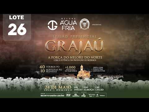LOTE 26   JCGG 25813