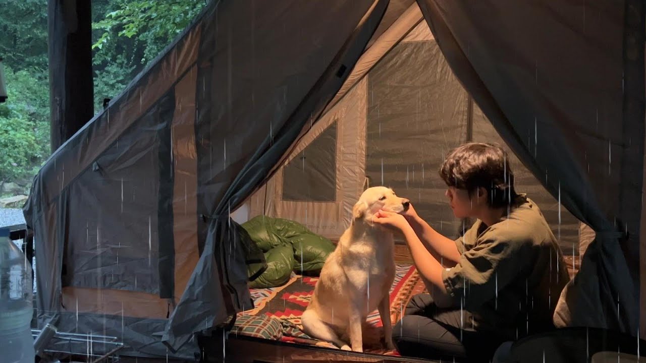 Одиночный кемпинг в лесу с сильным дождем и собакой [Расслабляющий, ASMR]