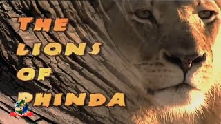 اسود افريقيا المفترسة / African Lions