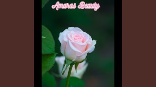 Joy of Christ