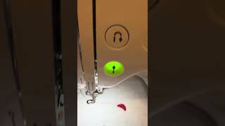 IMG 7890