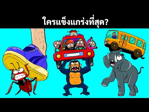 วีดีโอ: สัตว์อะไรหนักที่สุดและตัวไหนเบาที่สุด