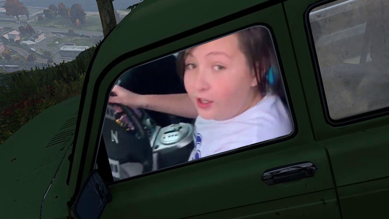 DAYZ IN 2020.exe