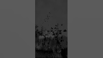 Into the radius is a scary game.#shorts #gameplay #intotheradius #scary