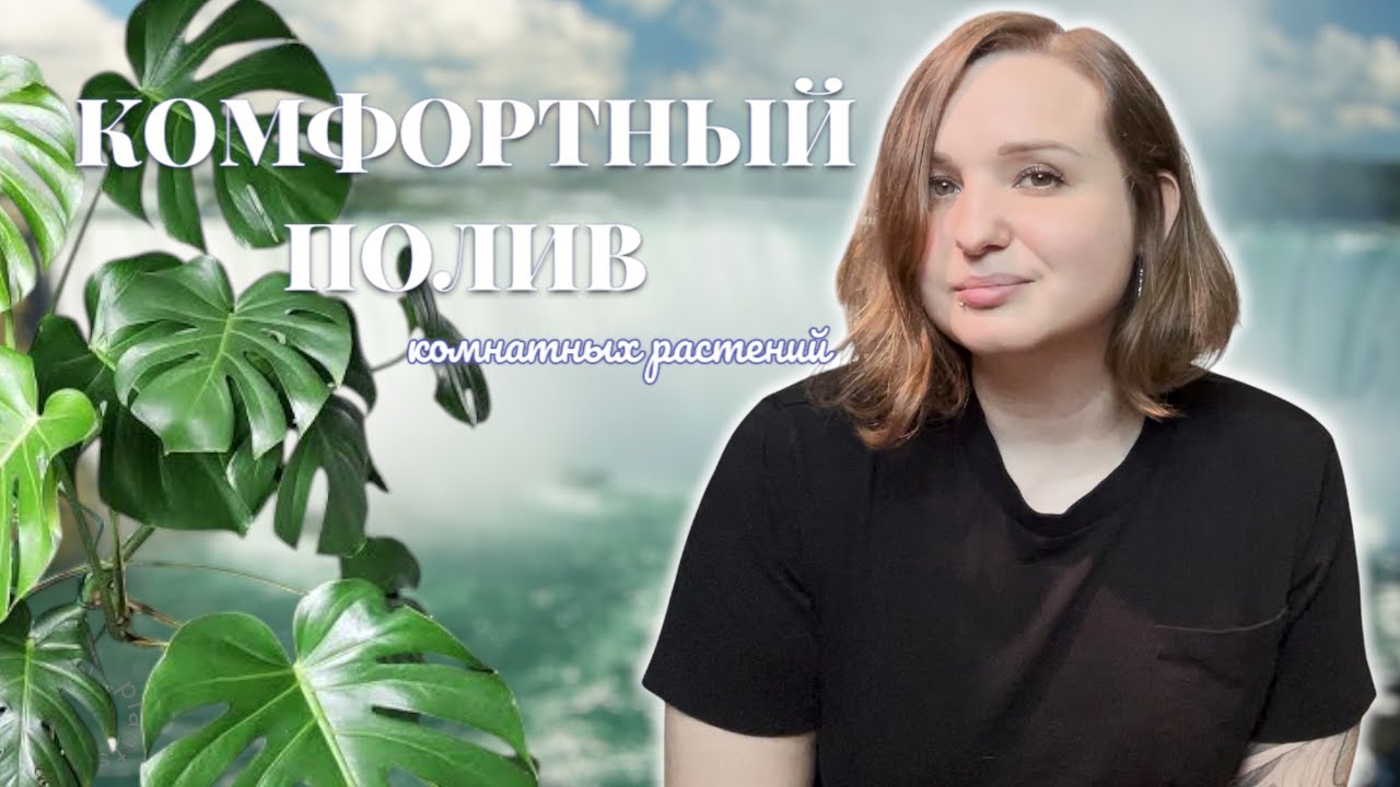 Как перестать беспокоиться о ПОЛИВЕ КОМНАТНЫХ РАСТЕНИЙ