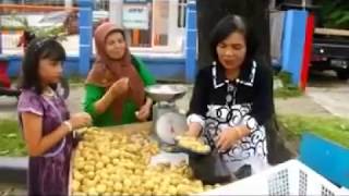 Download Lagu Lansek Manih  by  Yasmin MP3