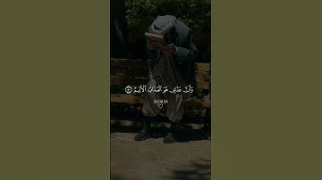 اكتب شي تؤجر عليه …  ~~~~~~~القارئ   هزاع البلوشي