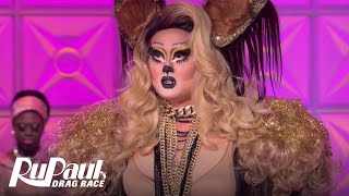 Best Of Kim Chi Compilation Rupauls Drag Race Season 8