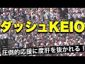 慶應が107年ぶりに優勝!ダッシュKEIOの応援が迫力抜群で球場の雰囲気をもっていく!【高校野球】