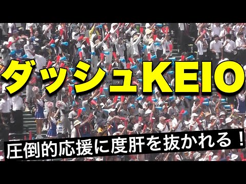 慶應が107年ぶりに優勝！ダッシュKEIOの応援が迫力抜群で球場の雰囲気をもっていく！【高校野球】