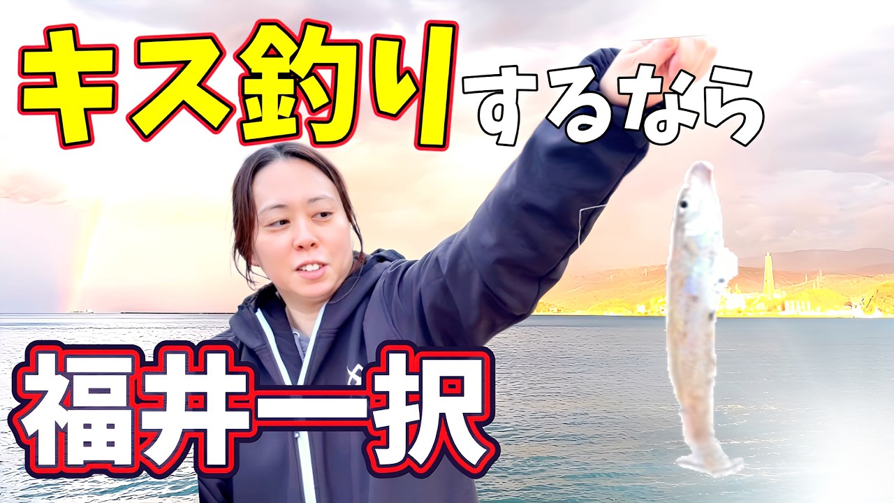 【釣り】キス釣りするなら福井県がおすすめ‼️気比の松原で弾丸釣行‼️