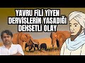 Yavru fili yiyen dervilerin yaad dehetli olay  nevzat tarhan  mesnevi terapi