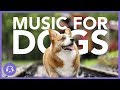 Music For Dogs: Deep Sleep Lullabies | 15 Hour Playlist