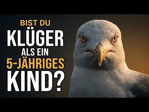 Möwe: 30 Millionen Jahre Evolution — und sie hat uns alle überlistet