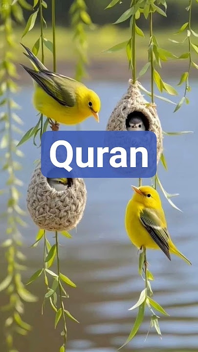 Al-Quran surah ad duha