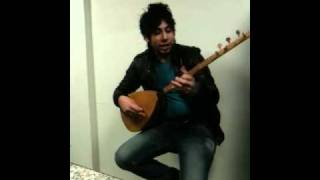 Halay Ali