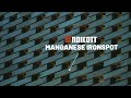 Manganese ironspot  endicott brick